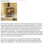 How to select wood burning stove