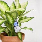 Botanicalls gives your plant a way to tell you it needs water