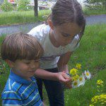 Kids picking wildflowers.