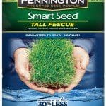 Pennington Smart Seed Tall Fescue Pennington Smart Seed Tall Fescue