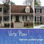 Shake it Up Finalists DaVinci Roofscapes