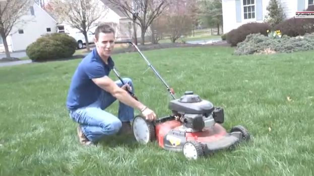 Lawn care tips
