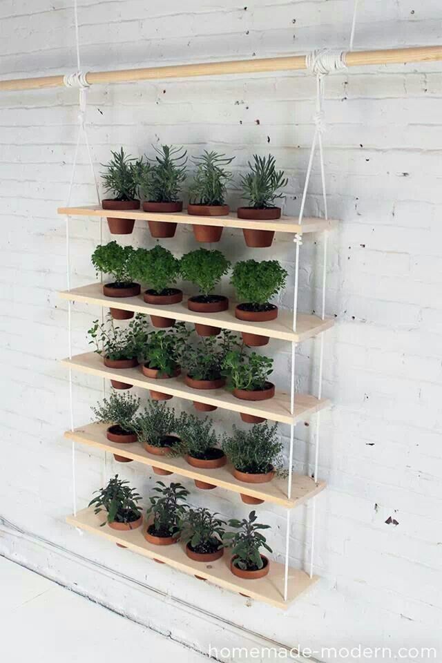 Easy vertical gardens are perfect for small spaces