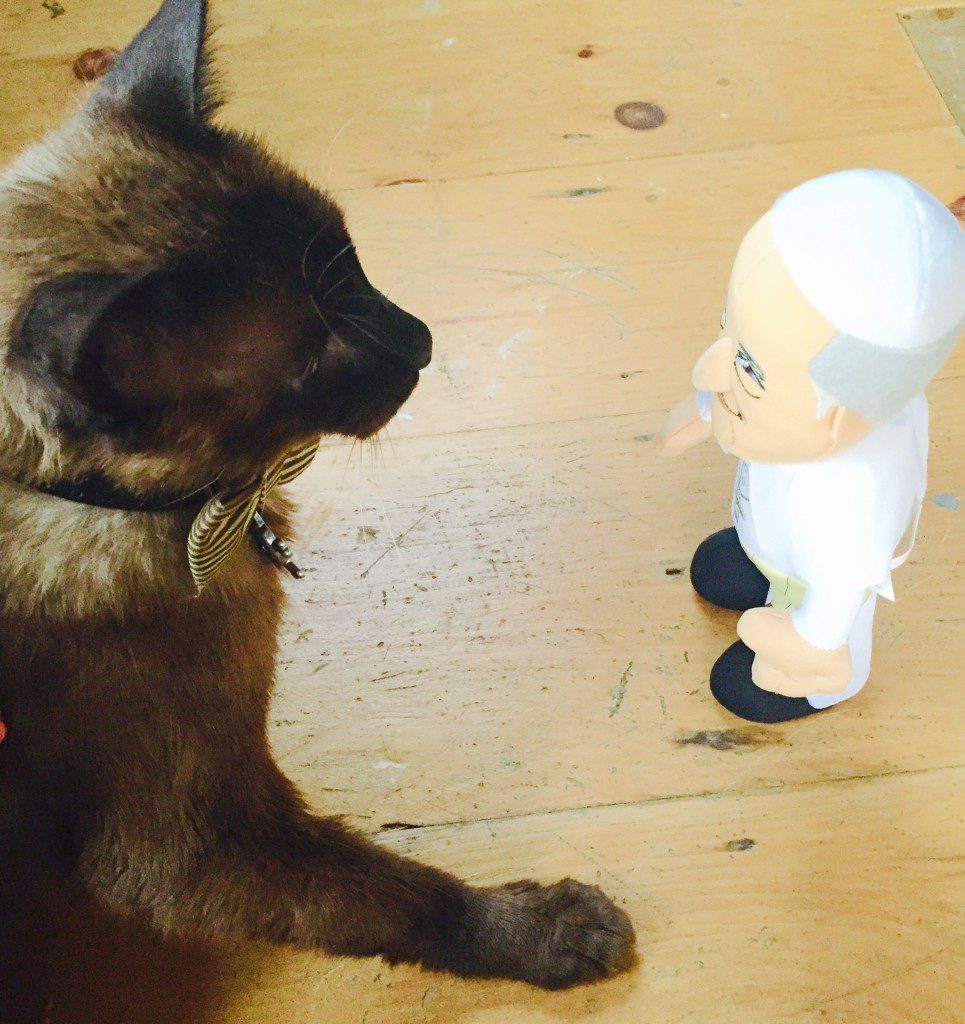 Plush Pope met Rowdee the cat, who wears a bowtie.