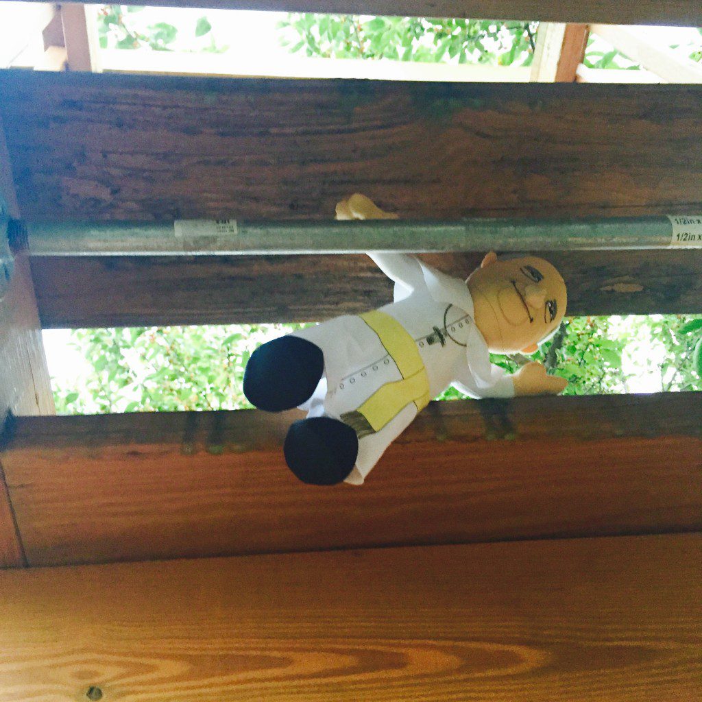 When he was swinging, Plush Pope Francis noticed the monkey bars over head. So he tried them out. 