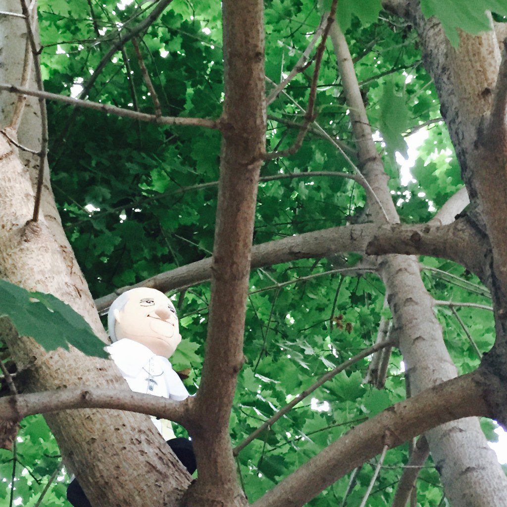 Plush Pope wanted to try climbing a tree so he could check out the entire neighborhood. 