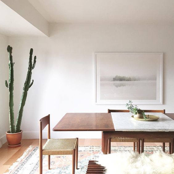 For someone who is from the southwest, a cactus in the corner of the room might be perfect way to bring outdoors inside.