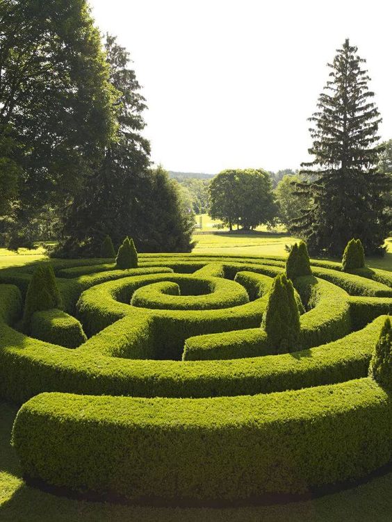 For someone with Alzheimer’s, they may see the outdoor world as a maze if it’s visually complicated. Simple is best.