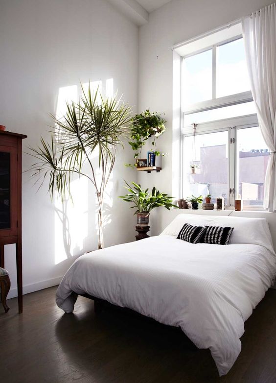 2016_0803_Personality in White_Bedroom_Plant