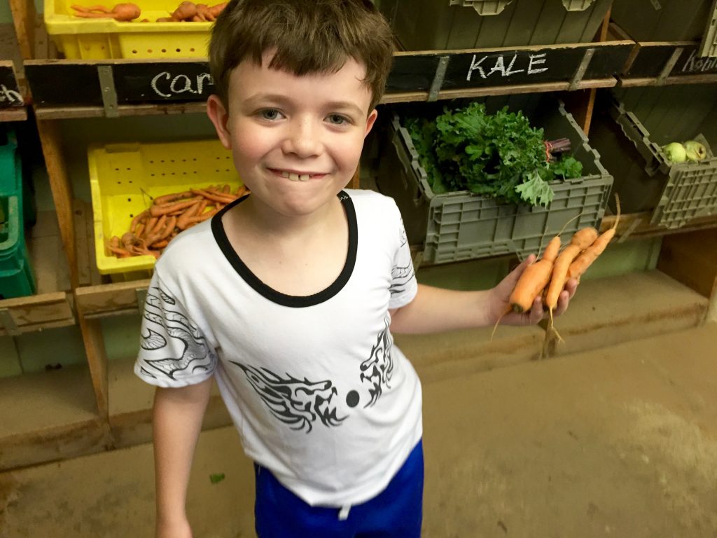 4d ACE_MyFixitUpLife_Canning_How about carrots says jack