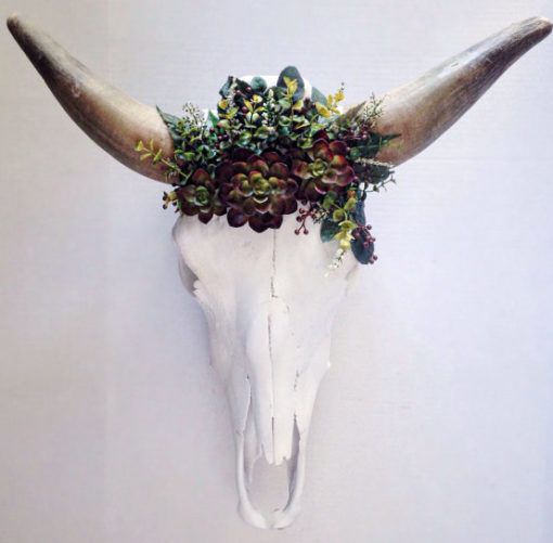 succulents hossdesign myfixituplife cow horn skull planter
