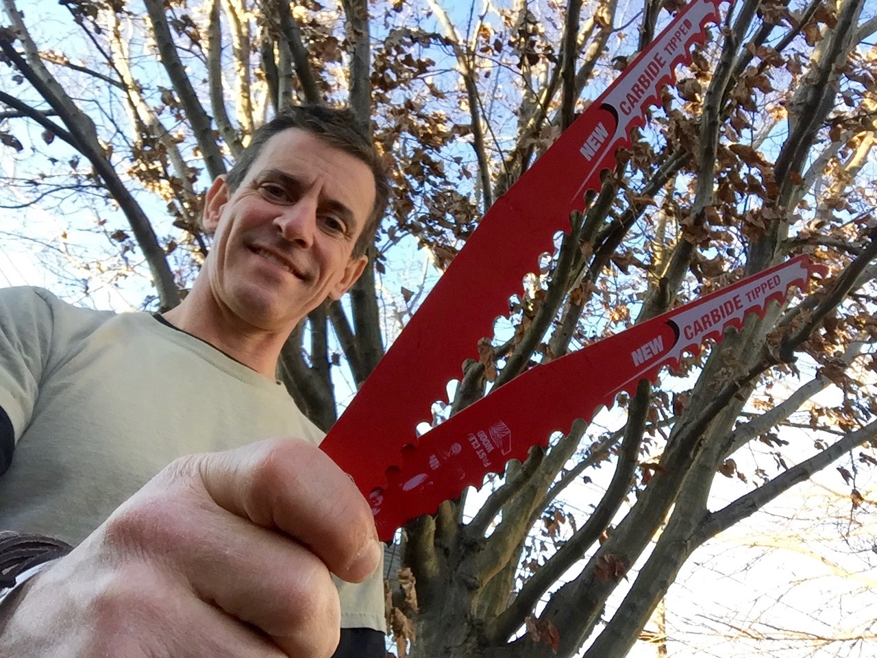 HOME FIXERS: How to cut down a tree with a reciprocating saw 