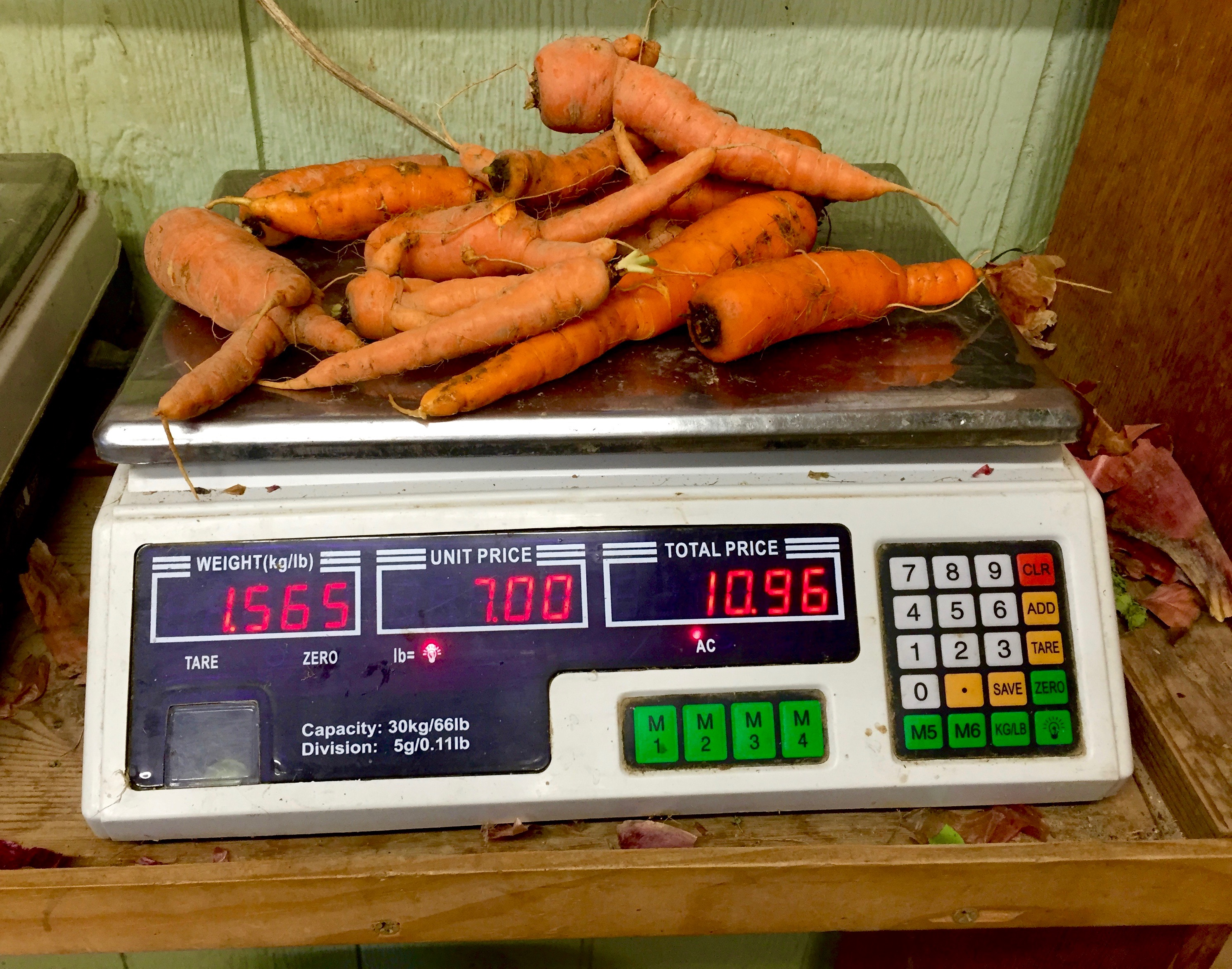 4 Pennypack farm MyFixitUpLife Theresa weighing carrots