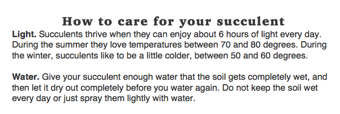 How to Care for your succulent Theresa MyFixitUpLife