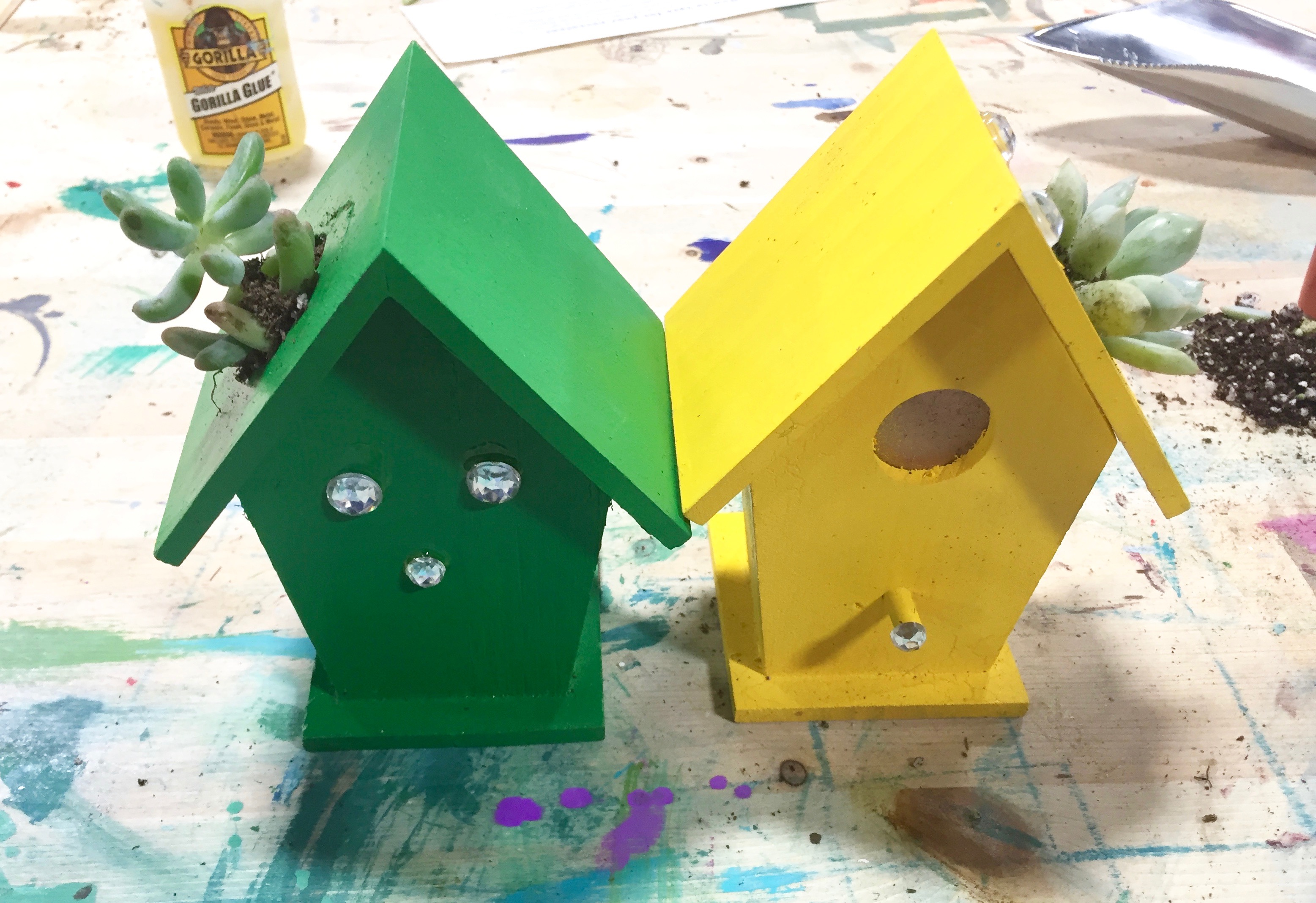 Z Birdhouse succulent craft myfixituplife workshop home show event green yellow