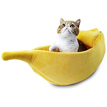 A cat inside a banana bed is a treat. This is sold on Amazon, with four sizes available. bananas home decor