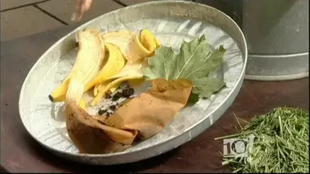 compost