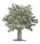 Set Aside an Emergency Budget