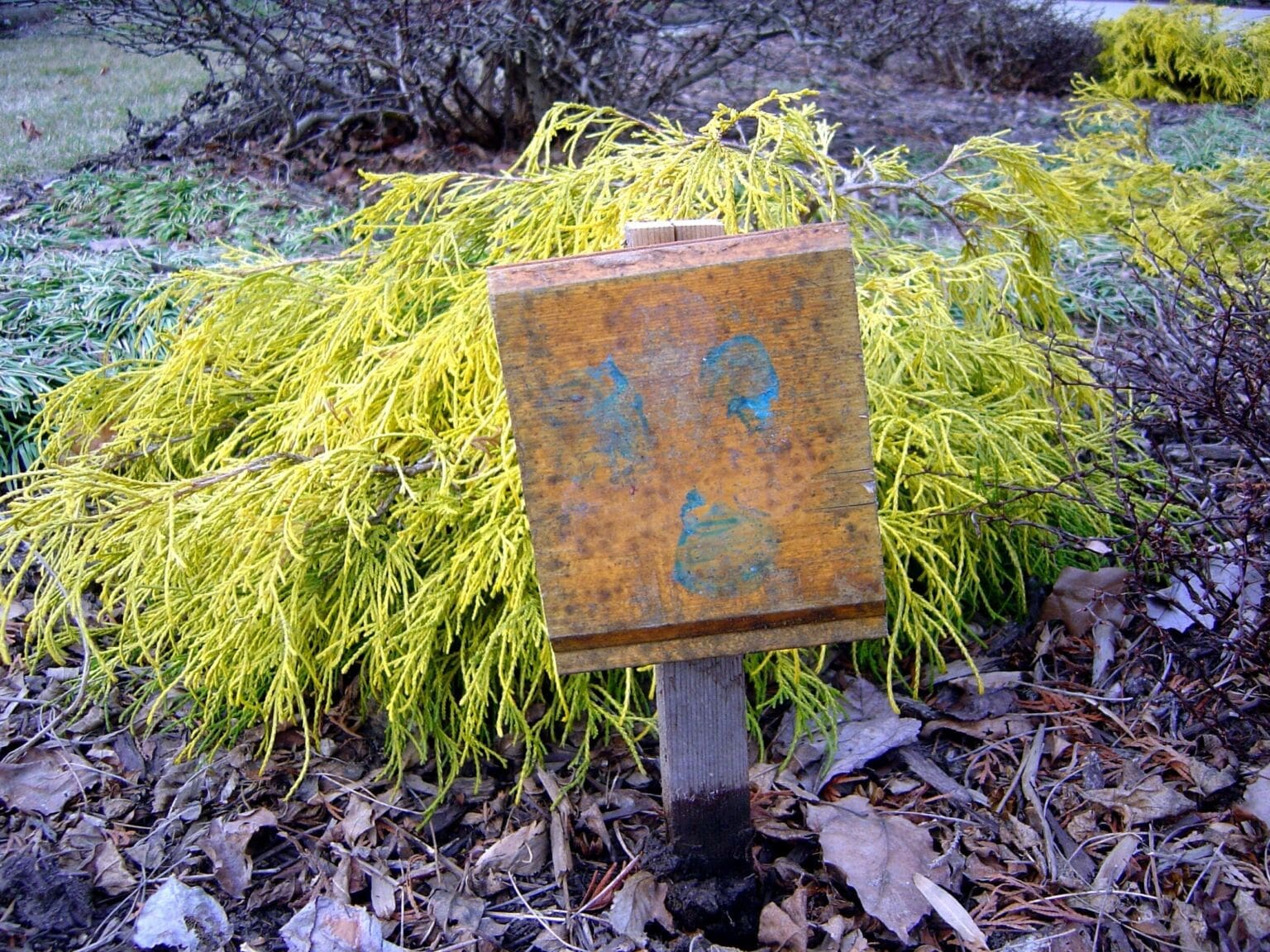 Lexis garden decoration Why Do I Like to Paint Cool Things MyFixitUpLife MyFixitUpLife MyFixitUpLife