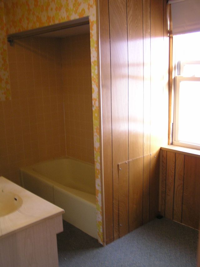 Bathroom mold