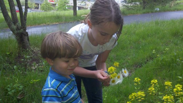 Gardening