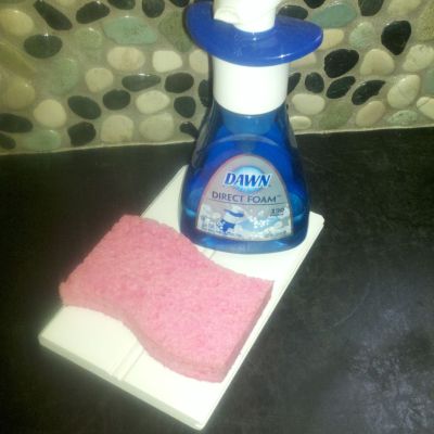 Sponge Tray--Marriage Saver.
