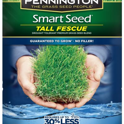 Pennington Smart Seed Tall Fescue