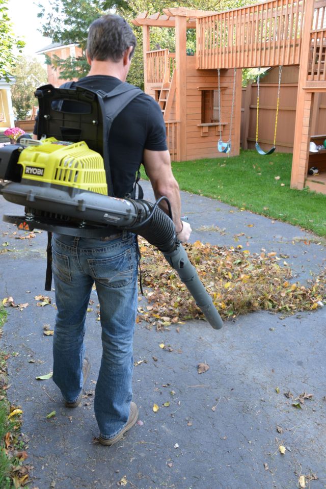 Ryobi BP42 Fall lawn care.