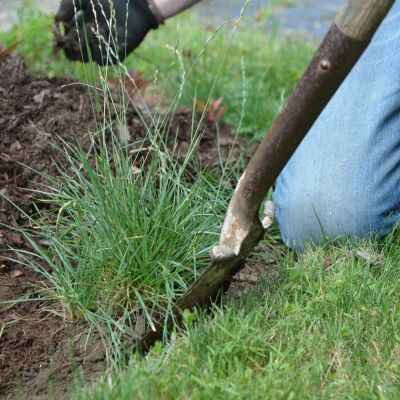 Lawn care