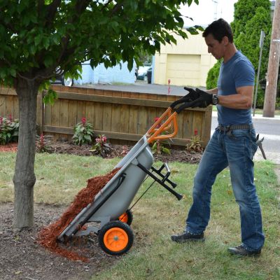 Worx Aerocart