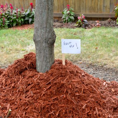 Bark mulch