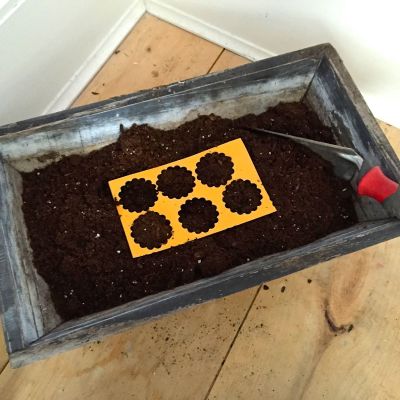 Planting Botanical Seed Paper MyFixitUpLife