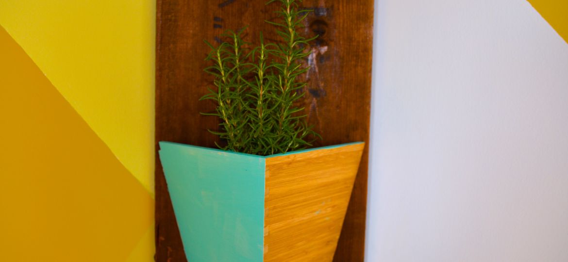 2015_MyFixitUpLife_Sun Room_Mud Room_Yellow Pattern_Flower Box_Plants_After_Rosemary