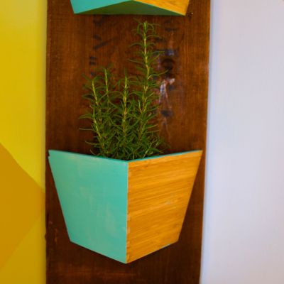 2015_MyFixitUpLife_Sun Room_Mud Room_Yellow Pattern_Flower Box_Plants_After_Rosemary