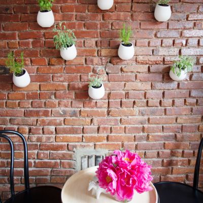 2016_AphroChic_kitchen_MyFixitUpLife_blab_plant