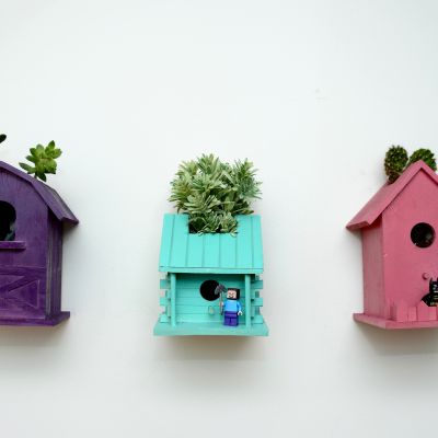 2016_MyFixitUpLife_BirdHouse Garden_9186