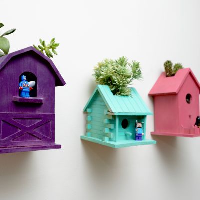 2016_MyFixitUpLife_BirdHouse Garden_9190