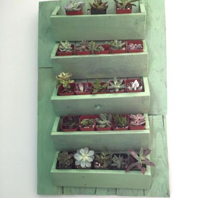 16b after Minwax Succulent Pallet Wood Wall Art