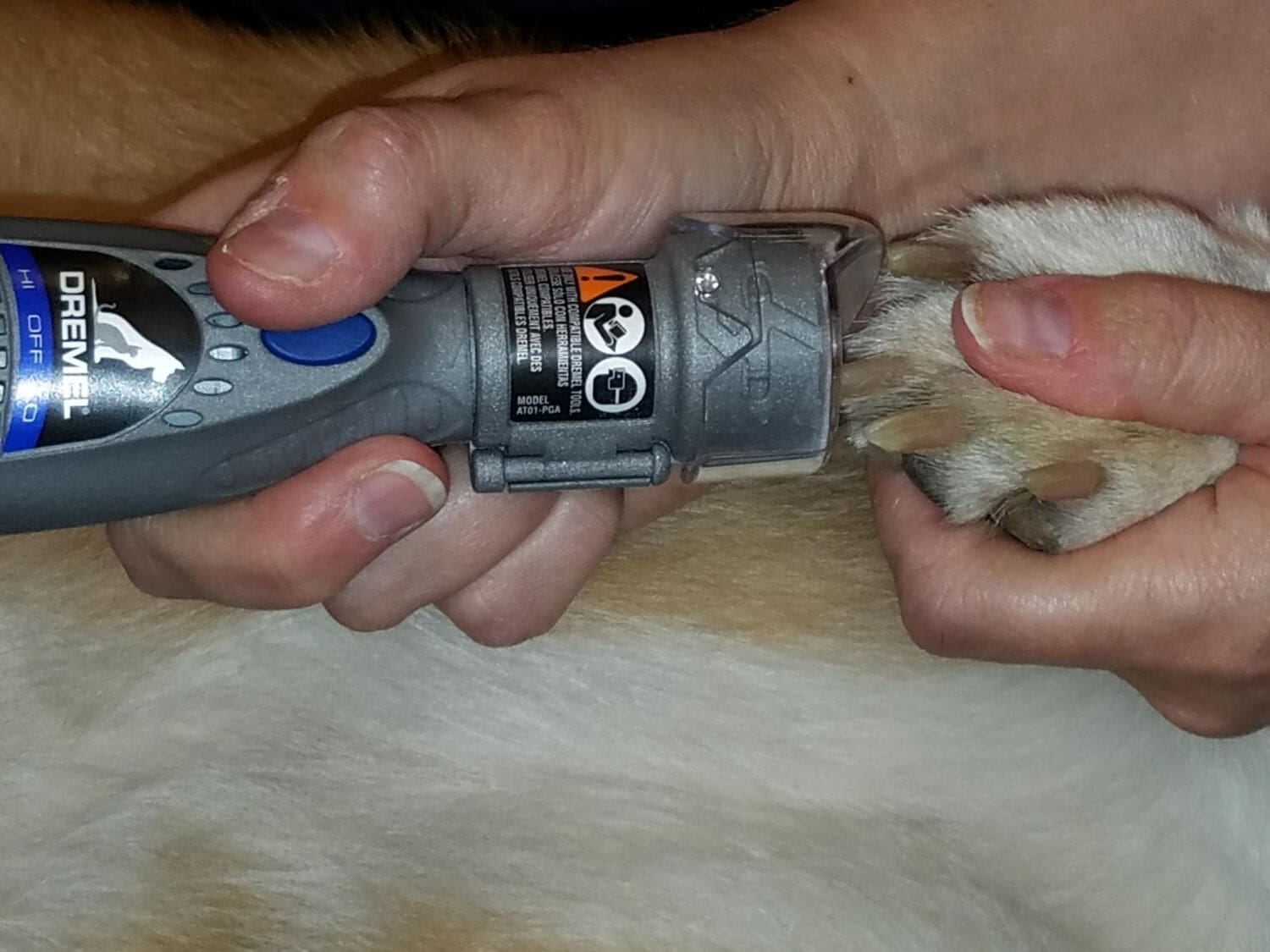 Krozby the Expert Dog, reviews the Dremel 7300 Pet Grooming Tool