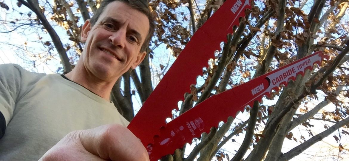 HOME FIXERS: How to cut down a tree with a reciprocating saw