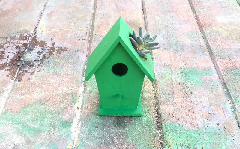 Z Birdhouse succulent craft myfixituplife after green