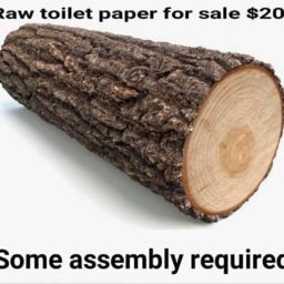 Crafty Beaver_log toilet paper myfixituplife