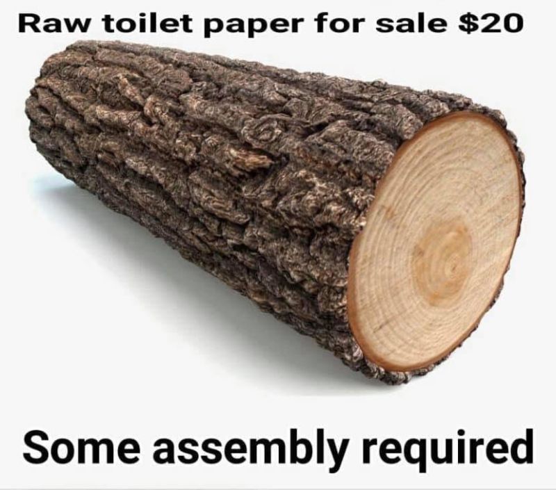 Crafty Beaver_log toilet paper myfixituplife