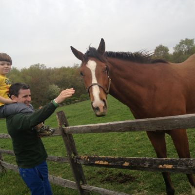 Horse-farm-Mark-Jack-MyFixiitUpLife