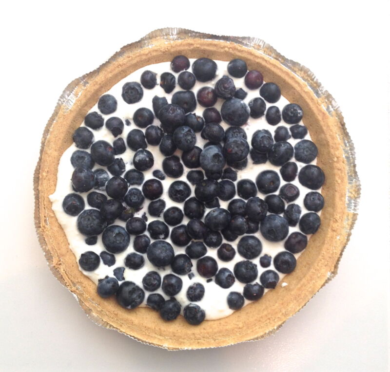 national pi day pie blueberry myfixituplife