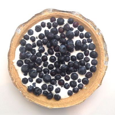 national pi day pie blueberry myfixituplife