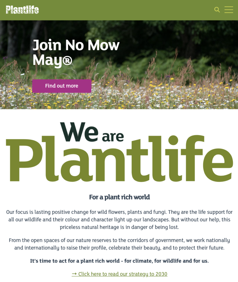 no mow may plantlife