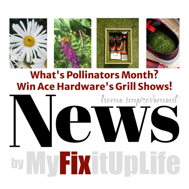 News Fix MyFixitUplife Pollinators Grill Shoes png