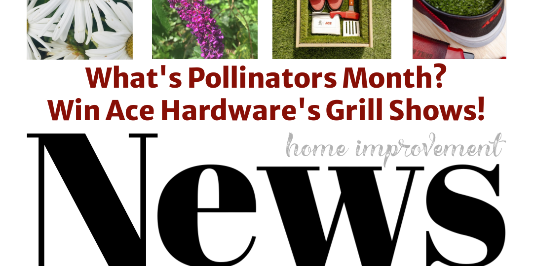 News Fix MyFixitUplife Pollinators Grill Shoes png
