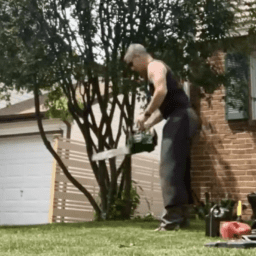 Cut down tree chainsaw Mark MyFixitUpLife How to safely cut a tree down by yourself with a chainsaw MyFixitUpLife MyFixitUpLife Cut down tree chainsaw Mark MyFixitUpLife MyFixitUpLife